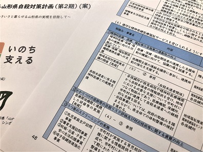 女性の自殺対策で精神科と産科医療の連携促進のサムネイル画像